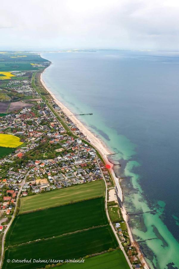 Hagelstein III "Herzmuschel" Dahme  Bagian luar foto